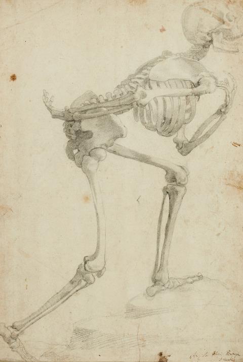 Agnolo Bronzino - Skeleton, striding left