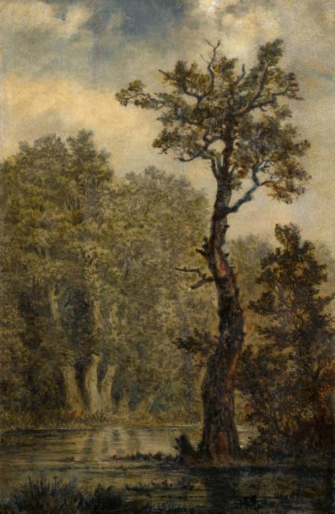 Carl Gustav Carus - Wooded Landscape