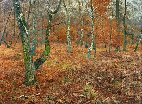 Paul Müller-Kaempff - Autumn Forest