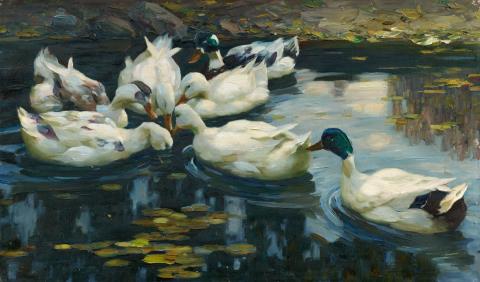 Alexander Koester - Ducks in a Water Lily Pond with a Stony Bank