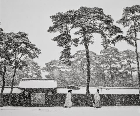 Werner Bischof - Im Innenhof des Meiji-Tempels, Tokyo, Japan