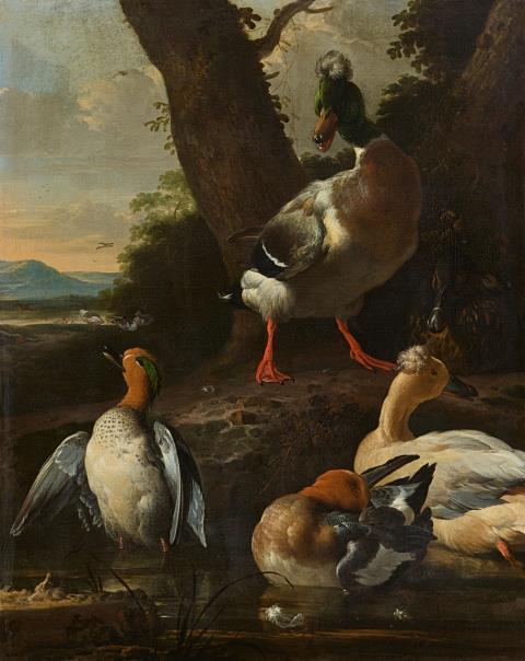 Melchior de Hondecoeter - Ducks in a Wooded Landscape