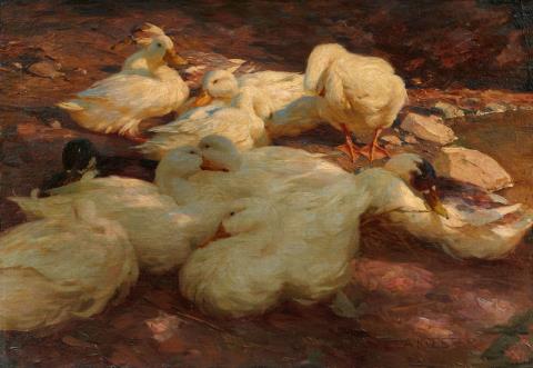 Alexander Koester - Ducks Resting on the Banks of a River