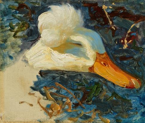 Alexander Koester - Study of a Crested Duck's Head