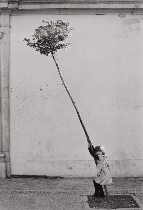 Sabine Weiss - Petite fille, petite arbre, Espagne