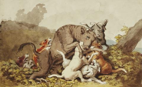 Johann Heinrich Wilhelm Tischbein - Jagdhunde greifen einen Bullen an