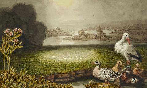 Johann Heinrich Wilhelm Tischbein - Stork and Ducks in Summer Landscape 
In addition: Two pencil sketches with storks