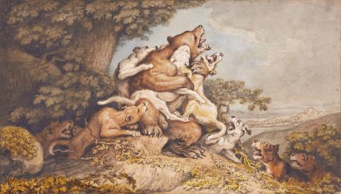 Johann Heinrich Wilhelm Tischbein - Jagdhunde greifen einen Bären an

Dazu: Kreideskizze, Jagdhund greift einen Bären an