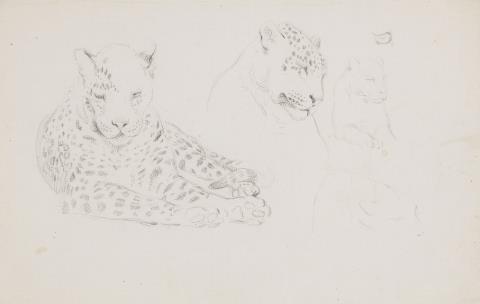 Johann Heinrich Wilhelm Tischbein - Drei Tierzeichnungen:
Studie zu einem Leoparden
Studie zu einer Hyäne
Schreitender Tiger