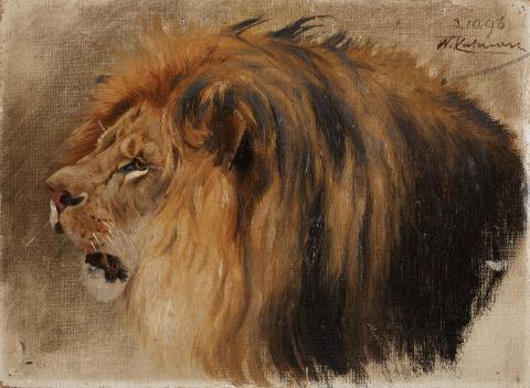 Wilhelm Kuhnert - Head of a Lion