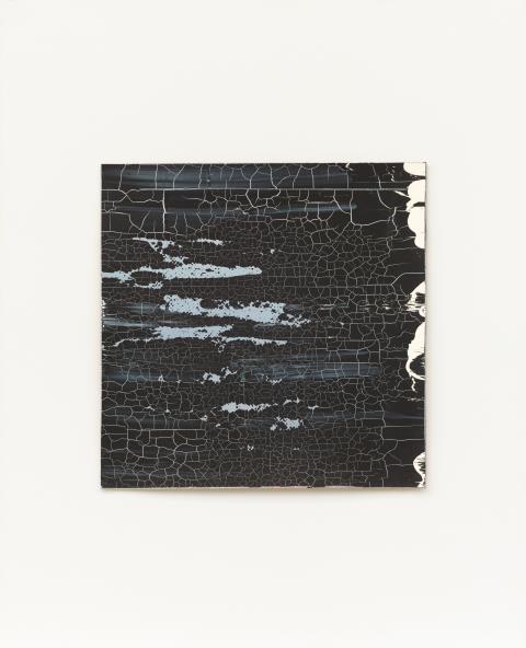 Gerhard Richter - Souvenir