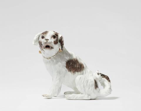 Johann Joachim Kaendler - A Meissen porcelain figure of a spaniel dog