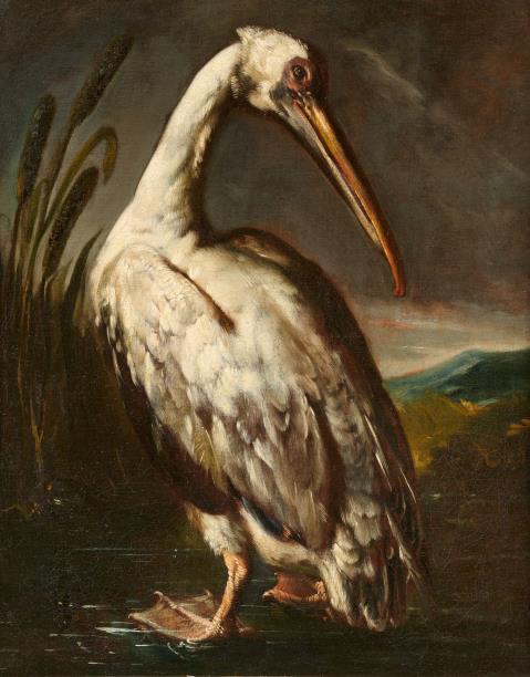 Bartolomeo Bimbi - A Pelican in a Landscape