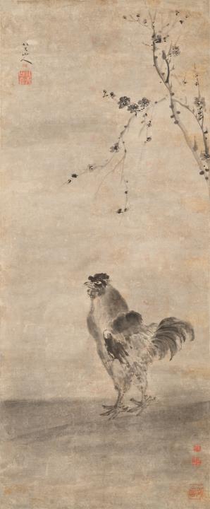 Proud rooster under plum blossom branches