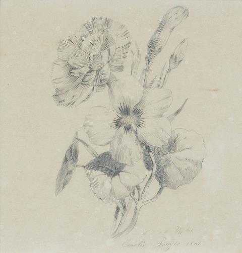 Emilie Preyer - Carnation flowers and buds
