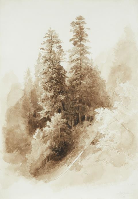 Carl Maria Nicolaus Hummel - Mountain slope with pines