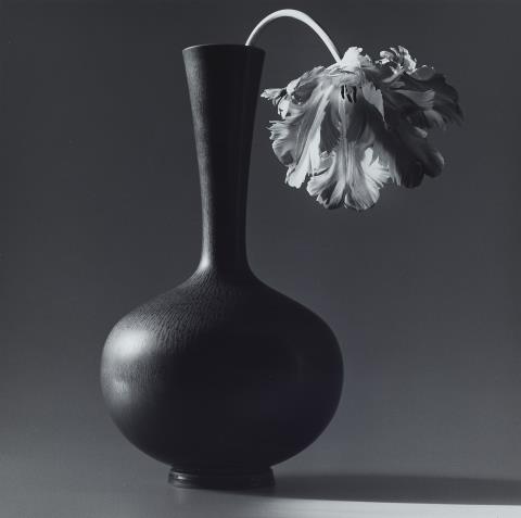 Robert Mapplethorpe - Parrot Tulip in Black Vase