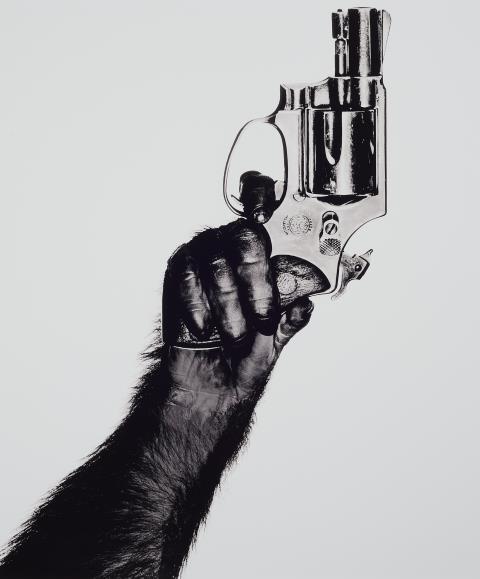 Albert Watson - Monkey with Gun, New York