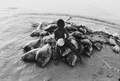 Robert Lebeck - Am Strand von Cayar, Senegal