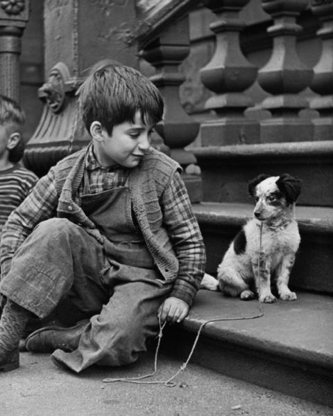 Clemens Kalischer - Boy with Dog