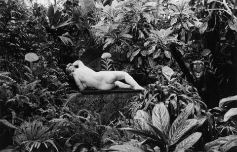 Édouard Boubat - Hommage an Douanier Rousseau, Jardin des Plantes, Paris