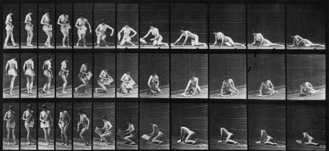 Eadweard Muybridge - Animal Locomotion, Plates 149, 252, 256, 266