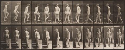 Eadweard Muybridge - ANIMAL LOCOMOTION, PLATE 98