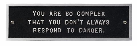 Jenny Holzer - From the Survival Series: You are so complex...
