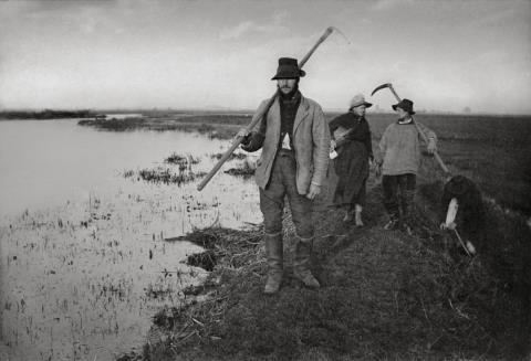 Peter Henry Emerson - COMING HOME FROM THE MARCHES