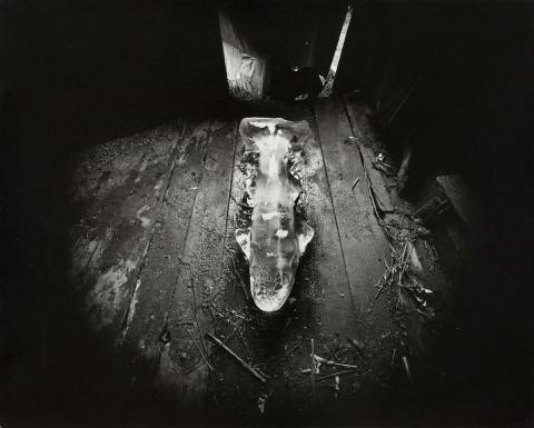 Emmet Gowin - ICE FISH, DANVILLE, VIRGINIA