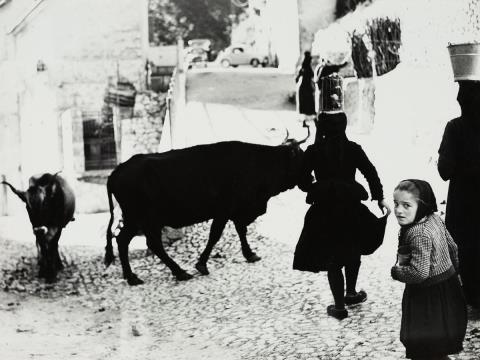 Mario Giacomelli - UNTITLED (FROM THE SERIES: SCANNO)