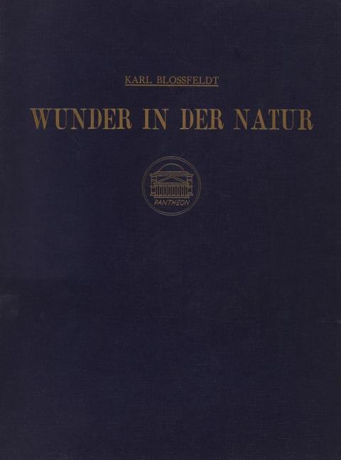 Karl Blossfeldt - WUNDER IN DER NATUR. BILD-DOKUMENTE SCHÖNER PFLANZENFORMEN