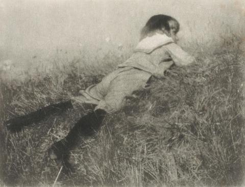 Heinrich Kühn - Hans im Gras
