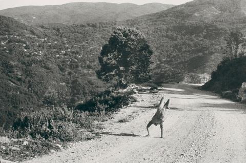 Henri Cartier-Bresson - Epirus, Greece