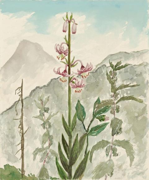 Christian Schad - Rote Lilie vor Gebirgsmassiv: Valepp (Red Lily against Mountain Massif: Valepp)