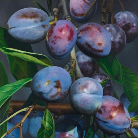 Karin Kneffel - Ohne Titel (Pflaumen) / Untitled (plums)